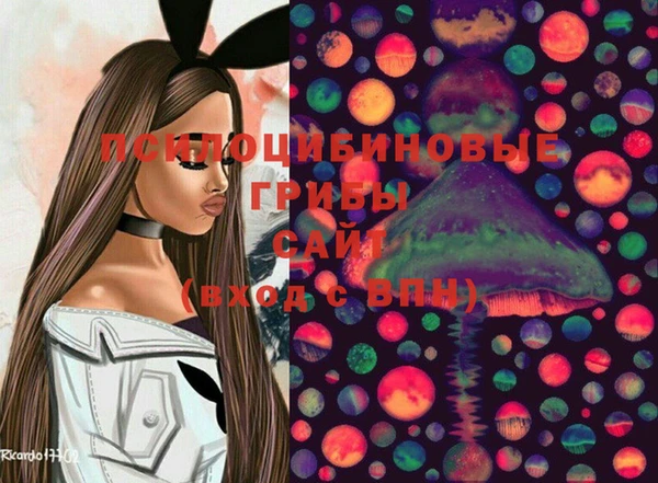 соль курить ск Алзамай