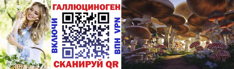 даркнет сайт  Черноголовка  Псилоцибиновые грибы ЛСД 